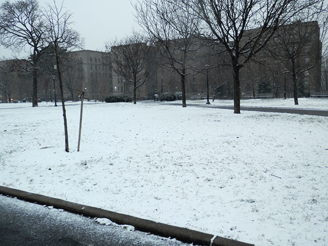 snow scene.gif